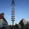 Maibaum 2018