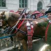 Oktoberfest 2011