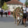 Viehscheid 2014